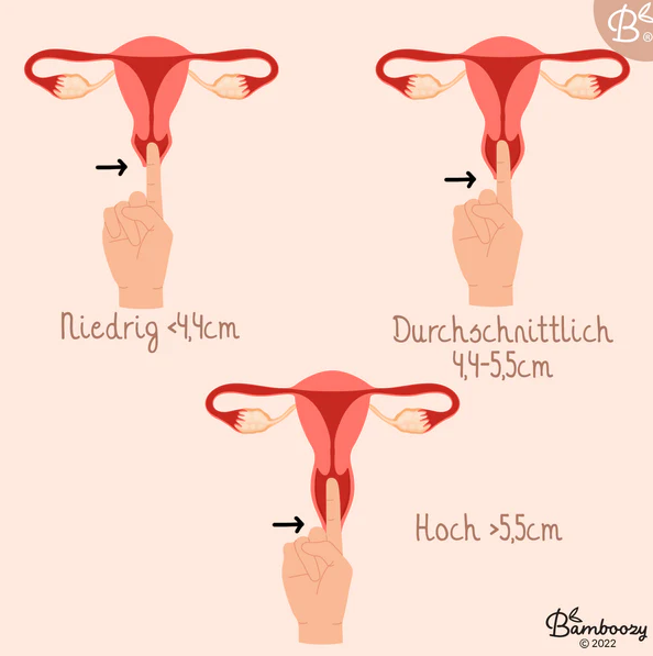 Menstruationsscheibe von Bamboozy - Grösse M Bamboozy