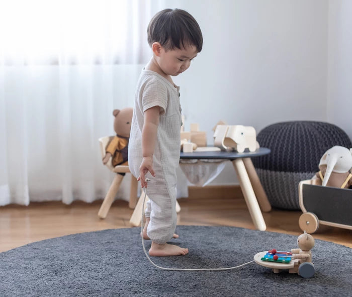Plan Toys Nachzieh-Musikbär Plan Toys