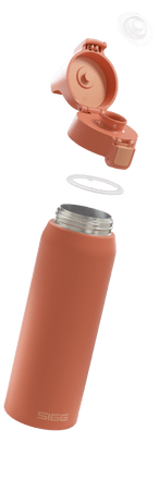 Sigg Trinkflasche Therm Eco Red 1 l Sigg
