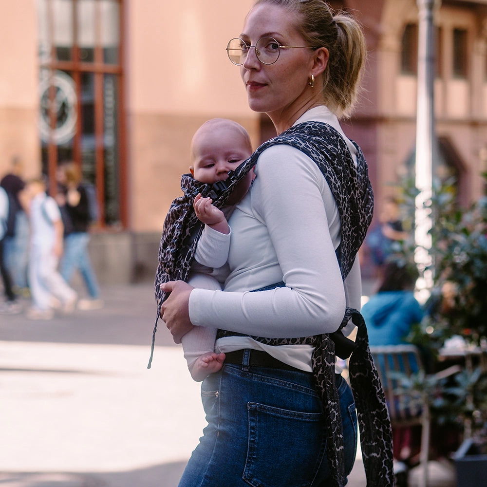 DidyFlow - Leo Didymos