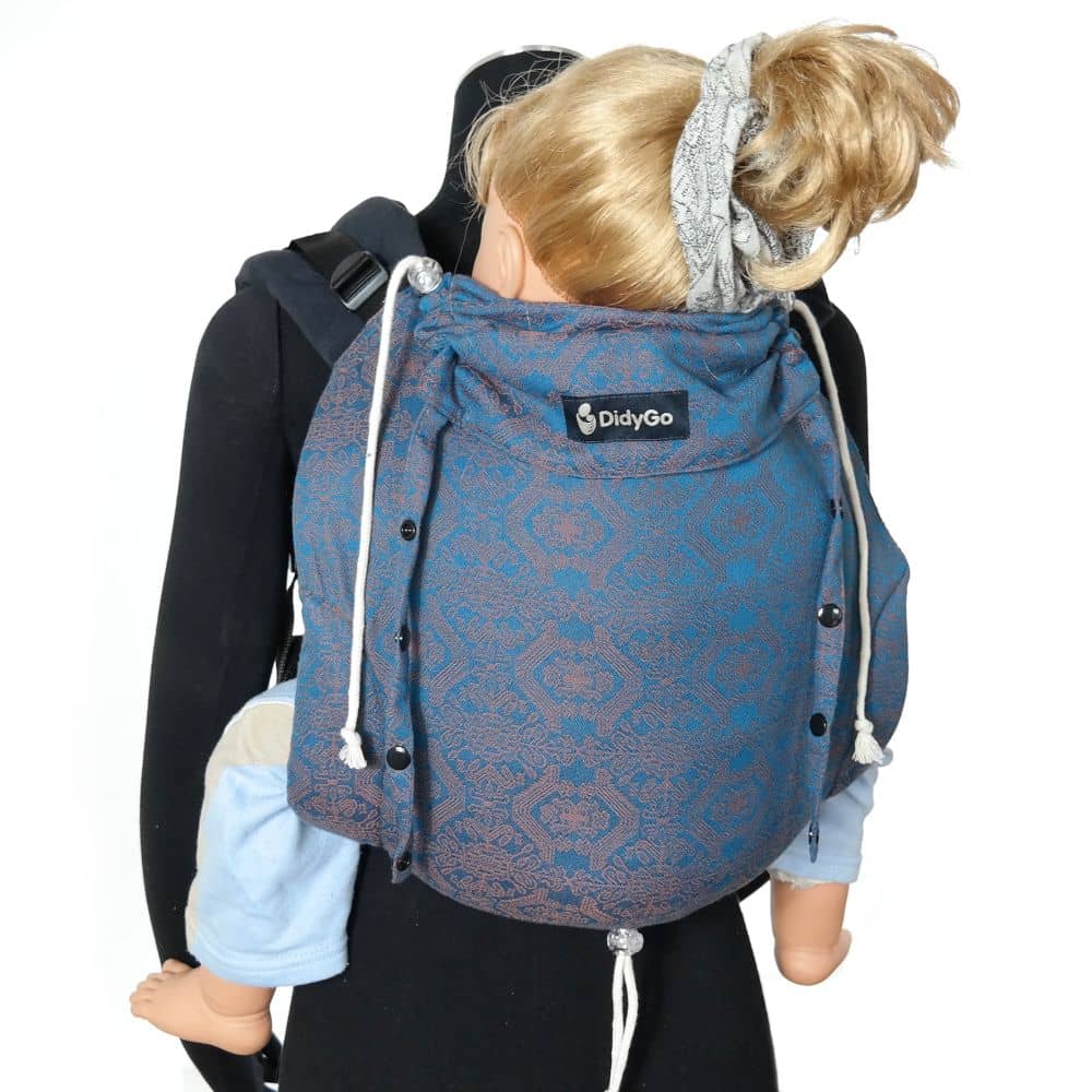 DidyGo Ludwig Didymos