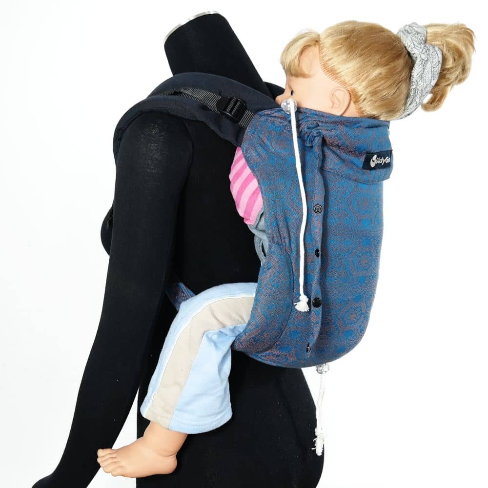 DidyGo Ludwig Didymos