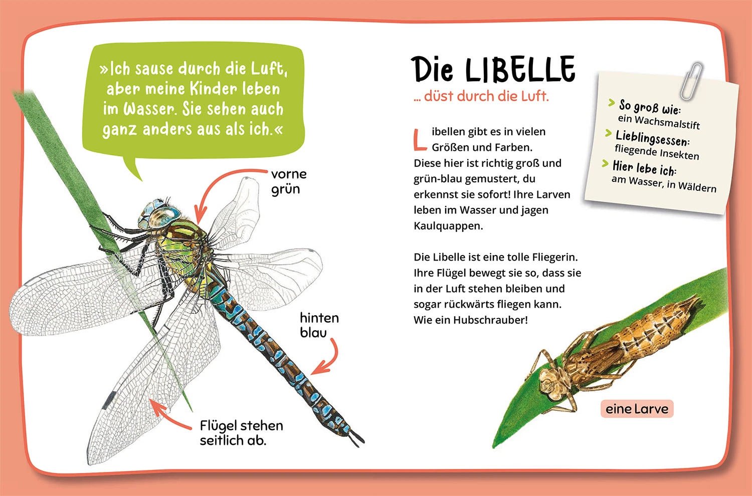 Mein erster Naturführer - Was krabbelt denn da? Kosmos