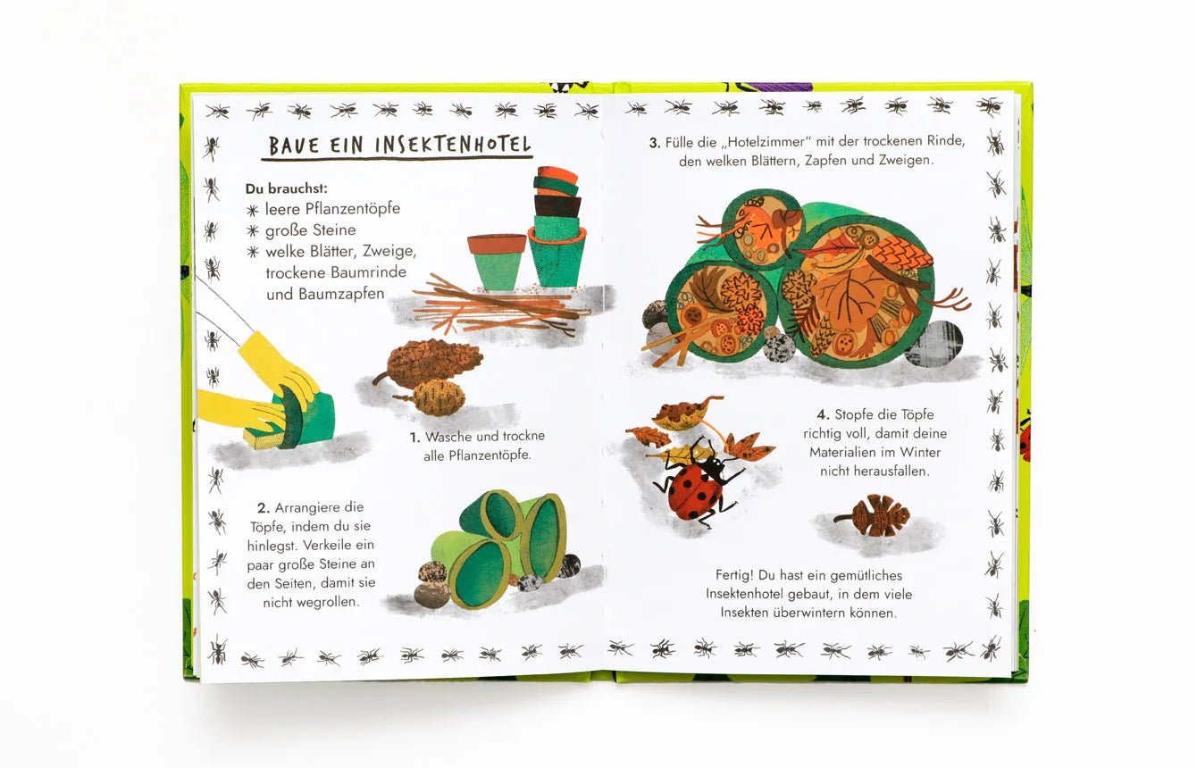 Hallo Insekten - Ein kleiner Naturführer Laurence Kind