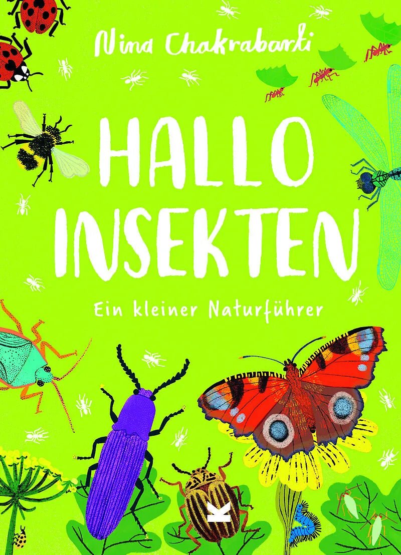 Hallo Insekten - Ein kleiner Naturführer Laurence Kind