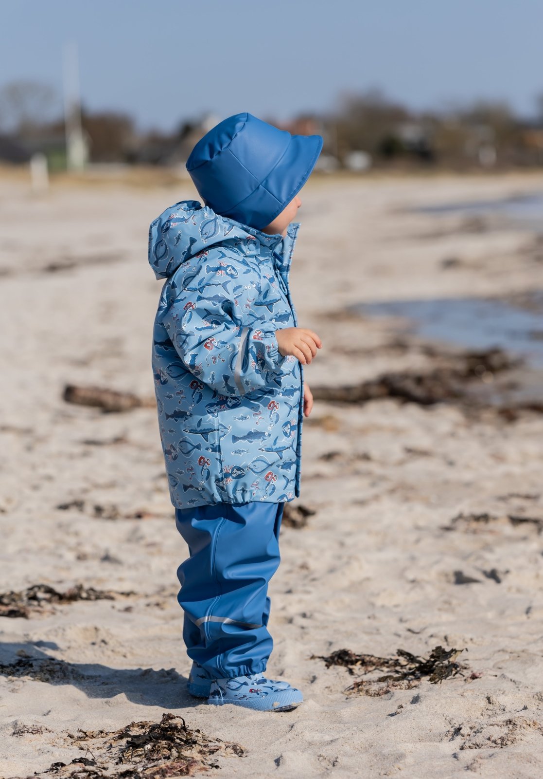 Gummistiefel CeLaVie - Federal Blue CeLaVi