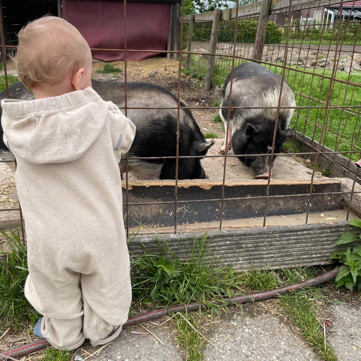 Bio-Baumwoll-Fleece-Overall - Camel Hoppediz