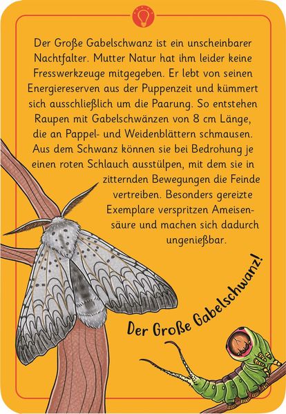 50 wundersame Tierrätsel - Insekten moses