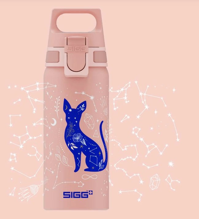 Sigg Kinder Trinkflasche WMB ONE My Universe 0.6 L - Familienbande - Sigg