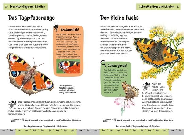 Was krabbelt- Kindernaturführer kosmos