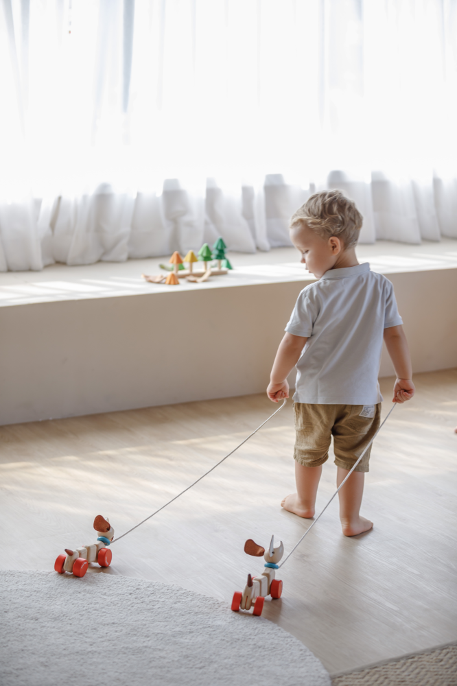 Plan Toys Nachzieh-Hündchen Plan Toys