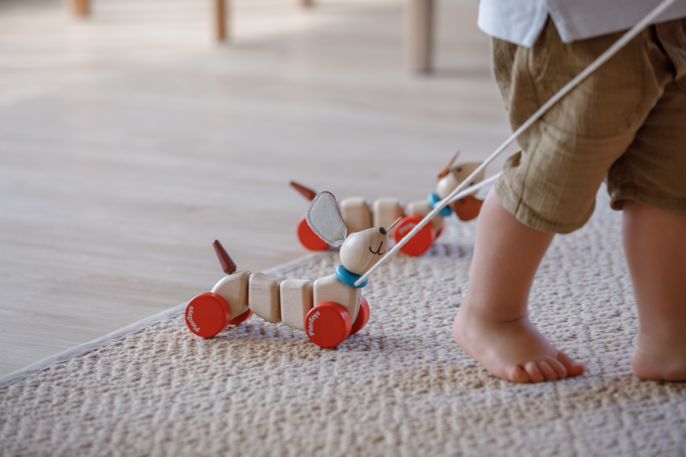 Plan Toys Nachzieh-Hündchen Plan Toys