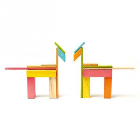 tegu 24 Magnetische Holzbausteine bunt Tegu