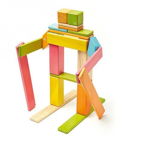 tegu 24 Magnetische Holzbausteine bunt Tegu