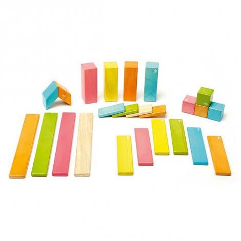 tegu 24 Magnetische Holzbausteine bunt Tegu