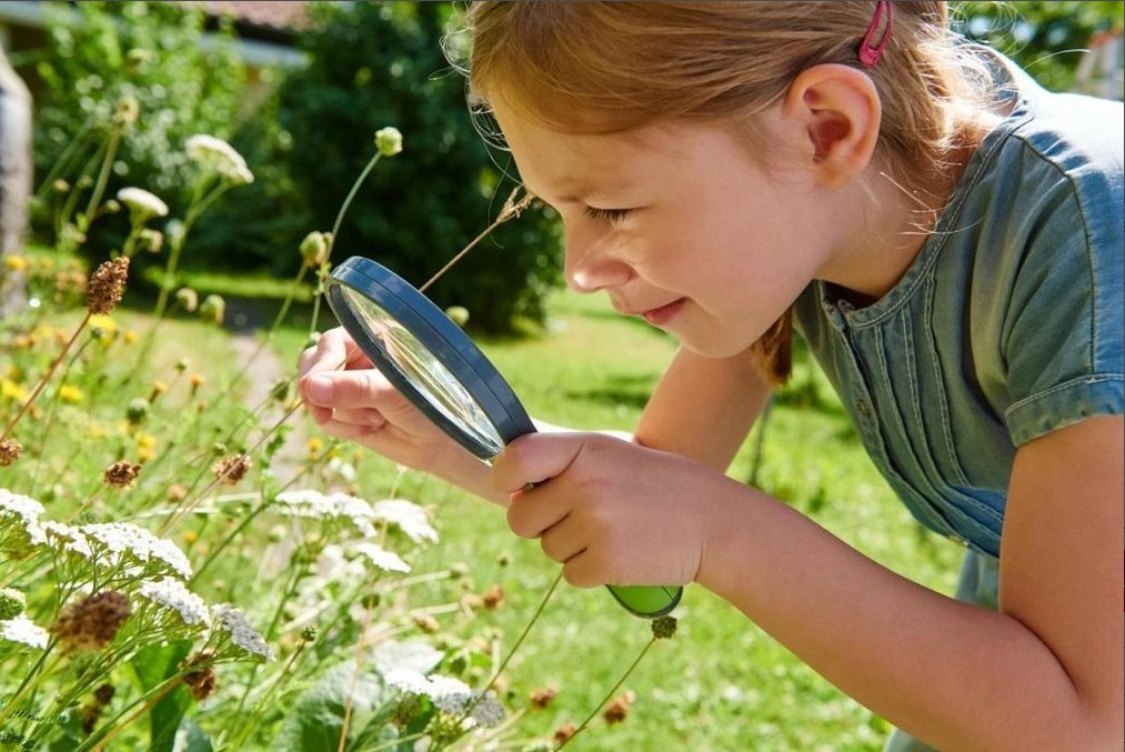 Terra Kids Kinderlupe haba
