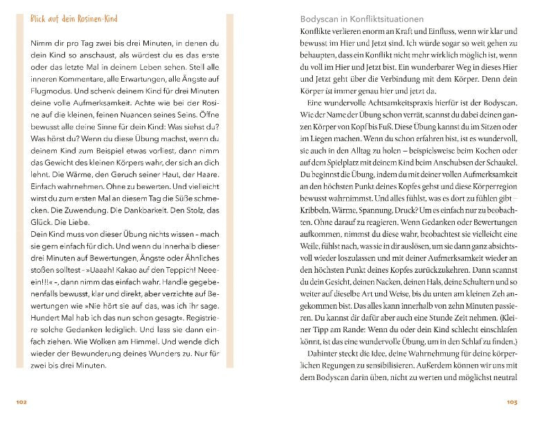 Hätte, müsste, sollte - Bedürfnisorientierung im Familienalltag wirklich leben Gräfe und Unzer