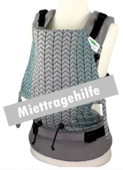 Miettragehilfe Buzzidil Preschooler Fullbuckle Kindertrage & Wandertrage (92-116) - Familienbande - Buzzidil