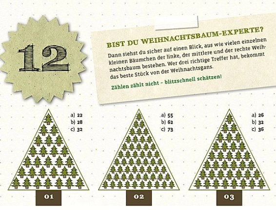 Advents Rätselkalender ars dition
