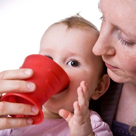 CamoCup (diverse Farben) - Familienbande