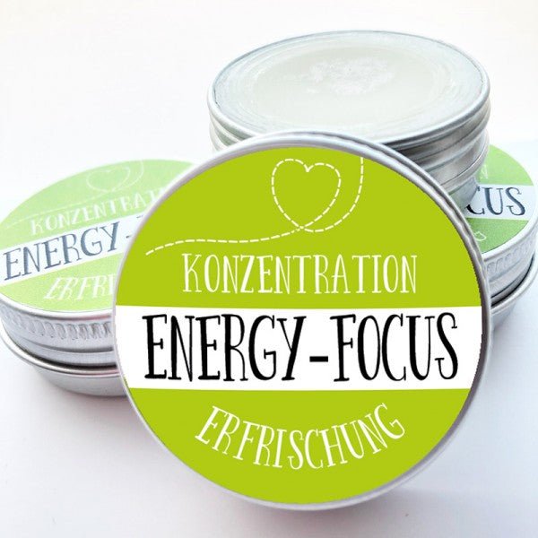 Energy-Focus - Familienbande