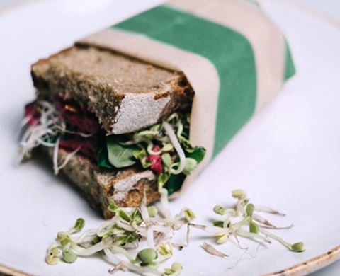 Gaia Bienenwachstücher Starter Set Save the Ocean Edition gaia