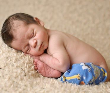 Huggalugs Zoo Crew Newborn huggalugs