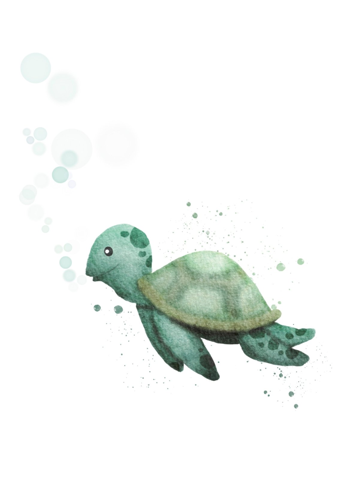 Schildkröte Karte die kunstletterei