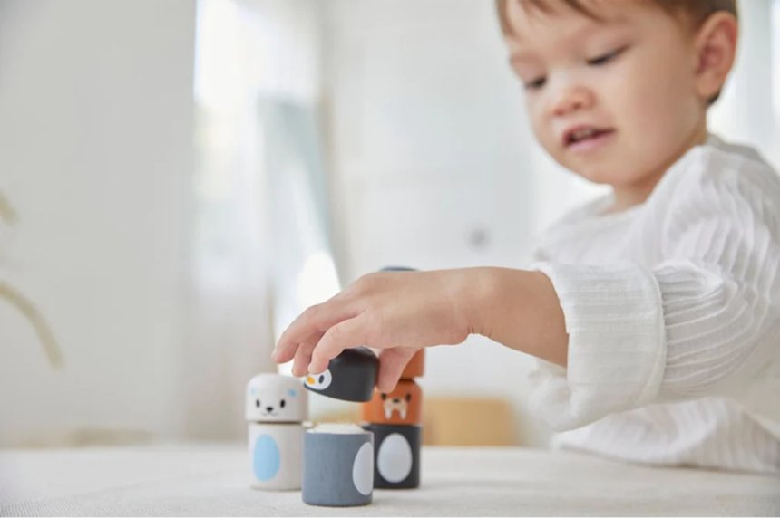Plan Toys Mix and Match arktische Tiere Plan Toys