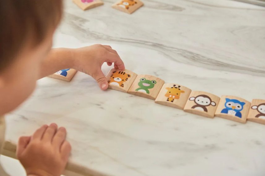Plan Toys Tiermemory Plan Toys