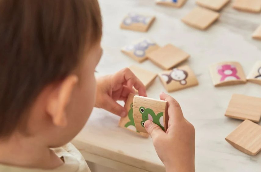 Plan Toys Tiermemory Plan Toys