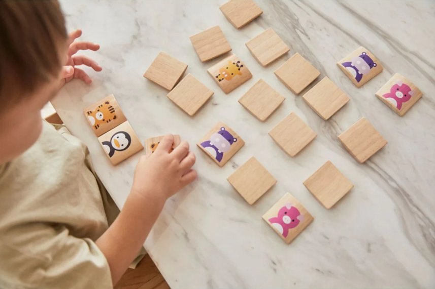 Plan Toys Tiermemory Plan Toys