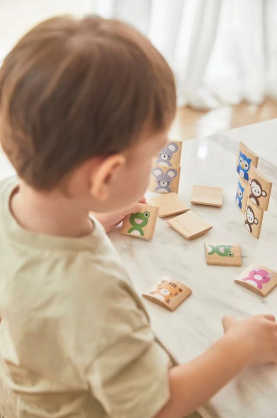 Plan Toys Tiermemory Plan Toys