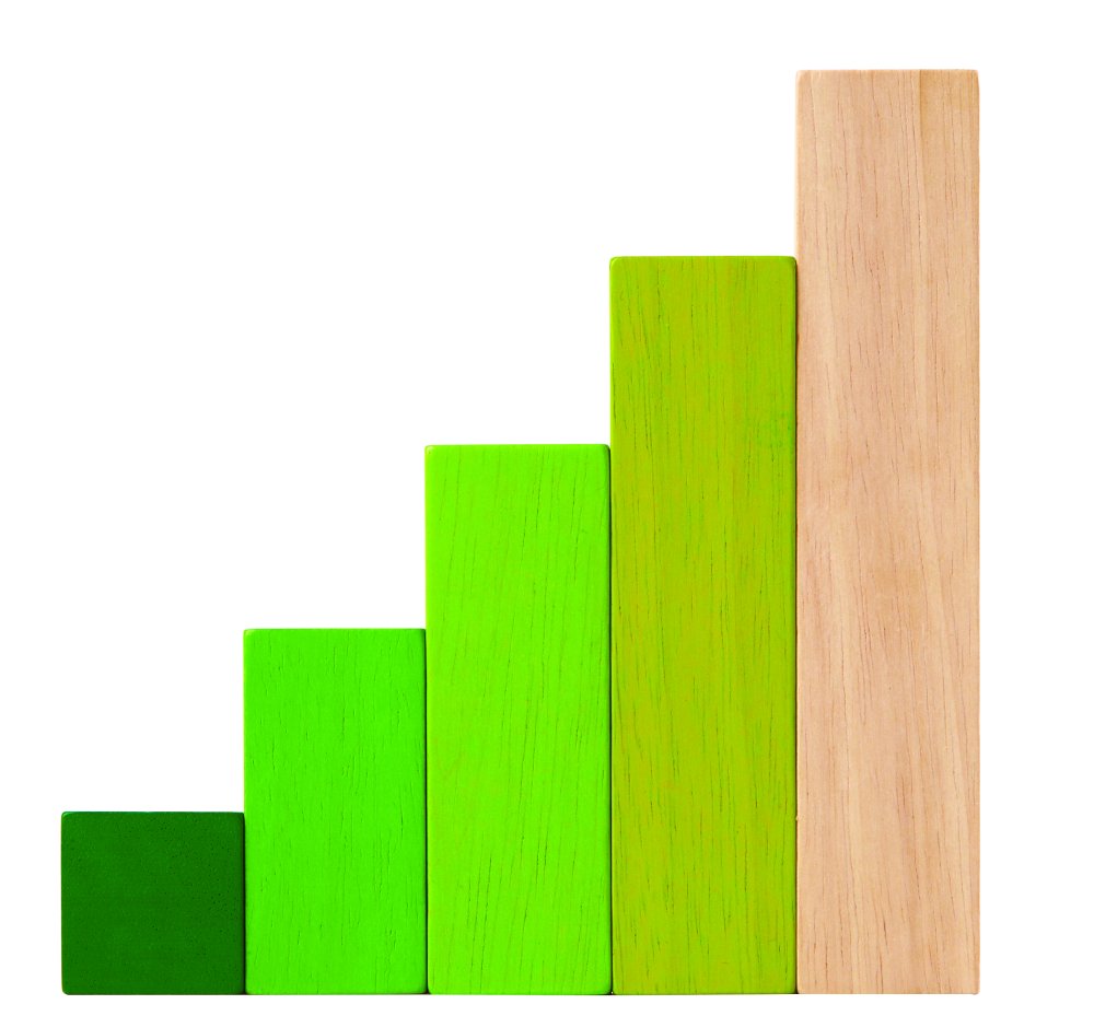 Plantoys Geometrische Blöcke Plan Toys