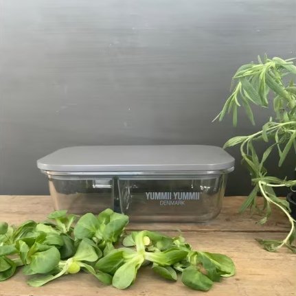 YUMMII YUMMI Lunchbox L 2 Fächer - Pinecone Familienbande