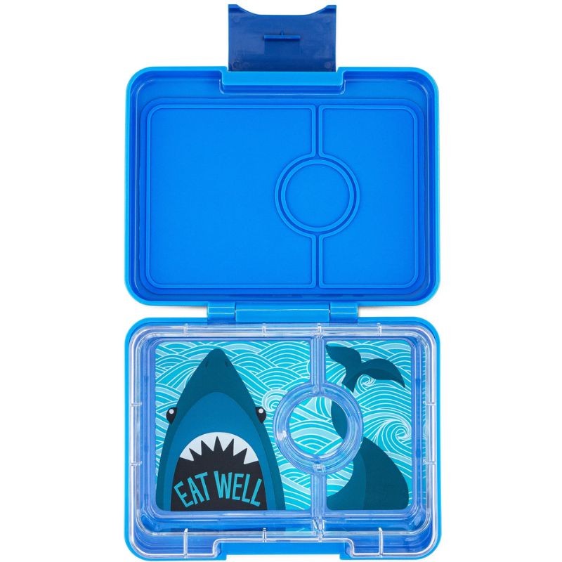 Snack-Grösse Bento-Lunchbox - Surf Blauhai