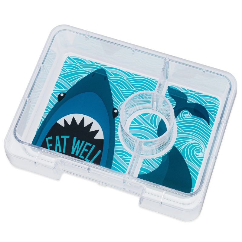 Snack-Grösse Bento-Lunchbox - Surf Blauhai