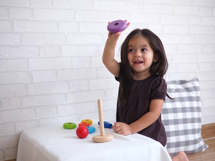 Plan Toys Sortierturm mit Ringen Plan Toys