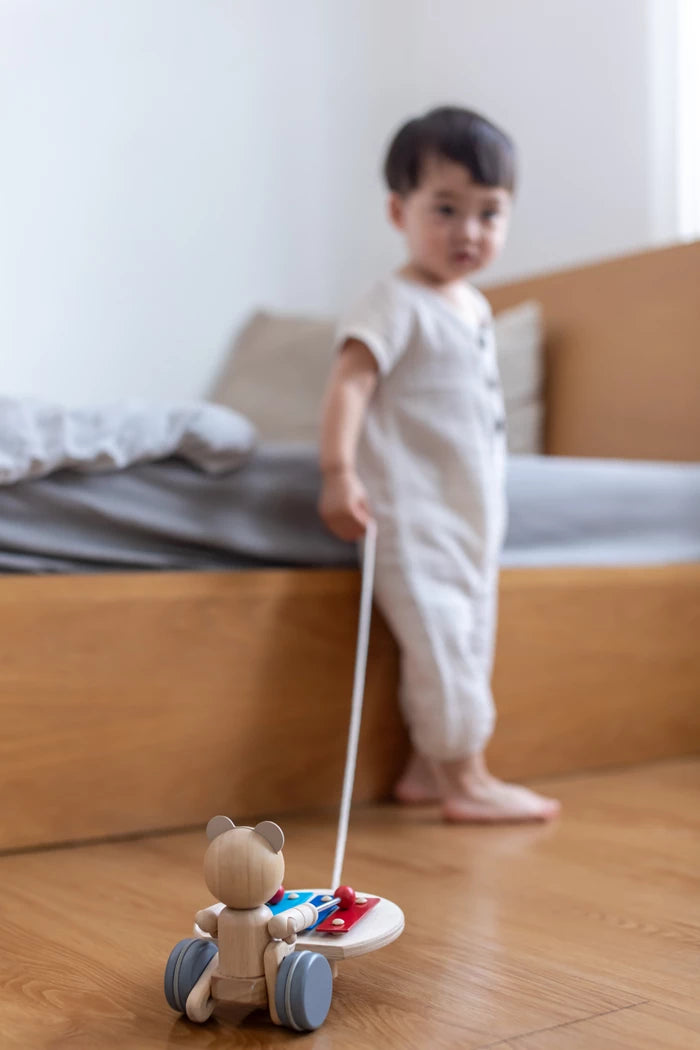 Plan Toys Nachzieh-Musikbär Plan Toys