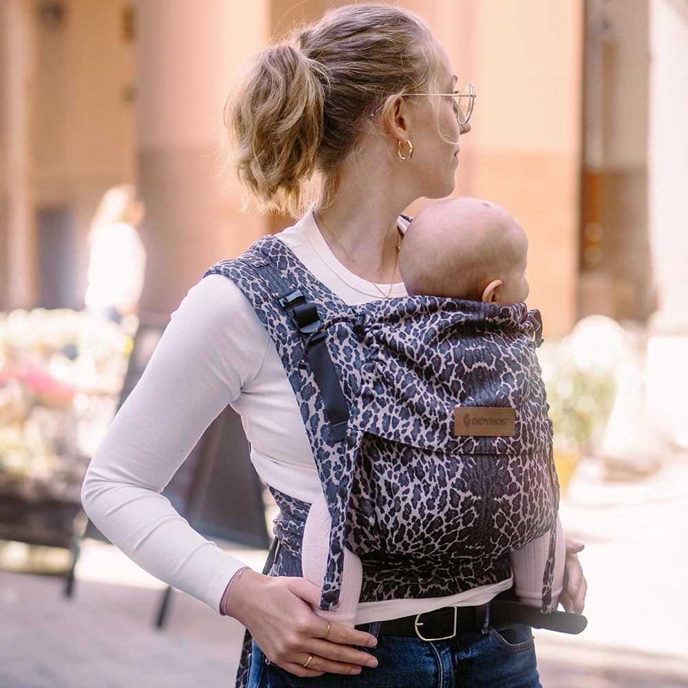 DidyFlow - Leo Didymos