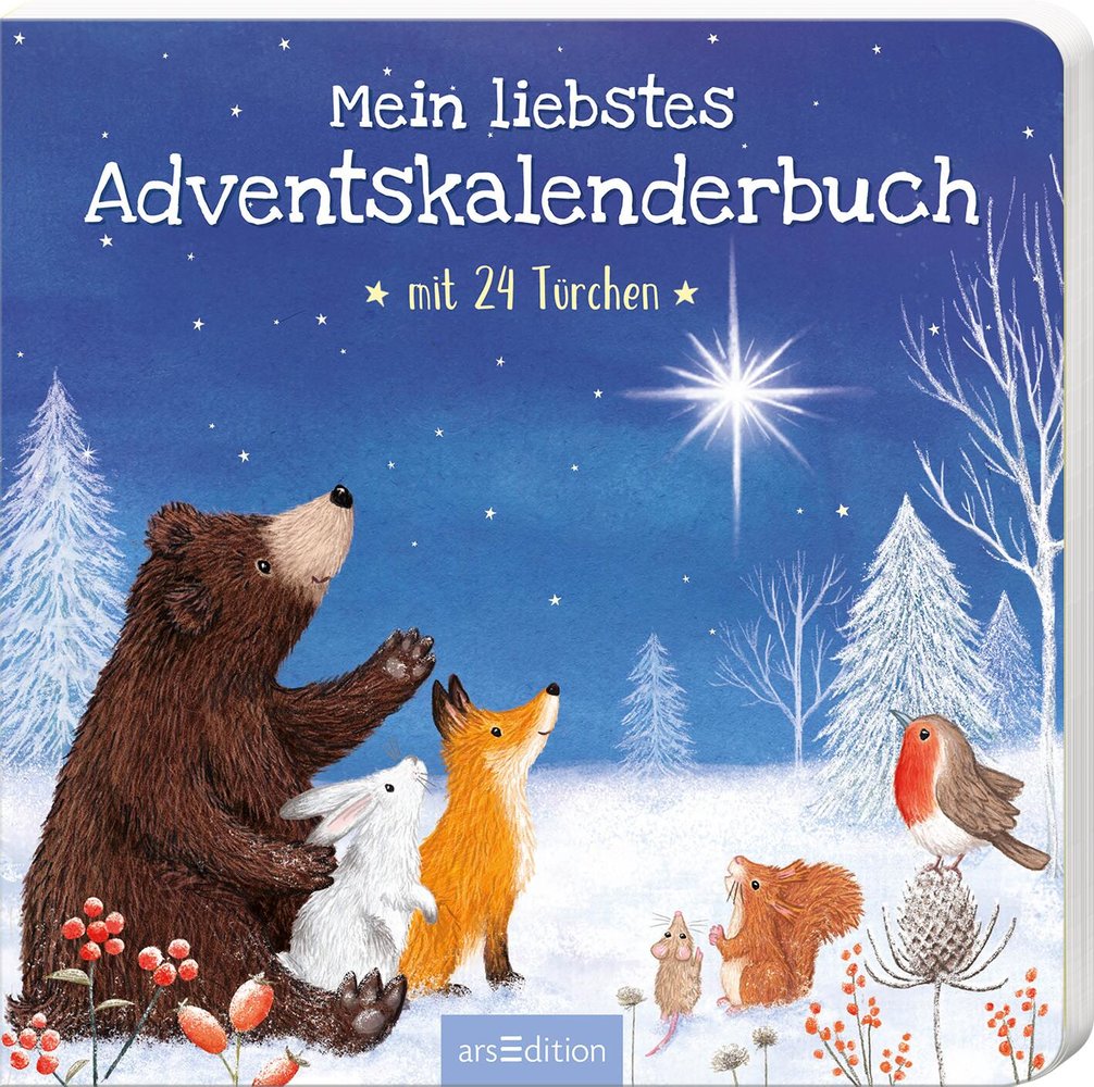 Mein liebstes Adventskalenderbuch ars edition