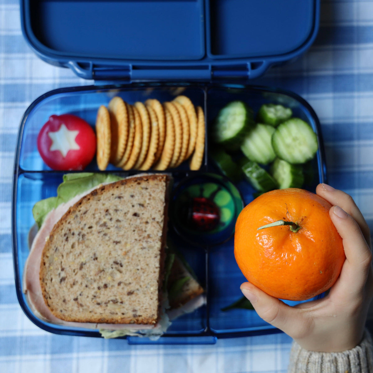 Yumbox Go - Auslaufsichere Bento-Box 5 Fächer Tiefe Lunchbox: Oslo Blue Yumbox