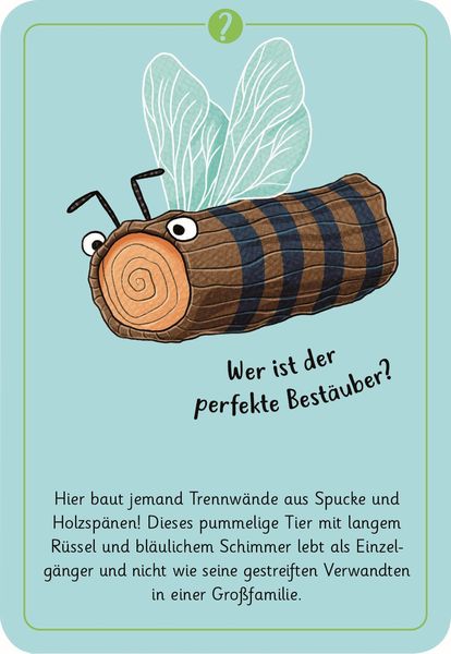 50 wundersame Tierrätsel - Insekten moses