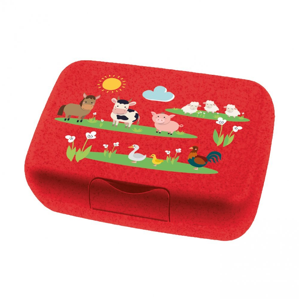 Koziol Lunchbox CANDY L - Farm Koziol