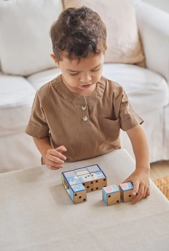 Plan Toys Tier Würfelpuzzle Plan Toys