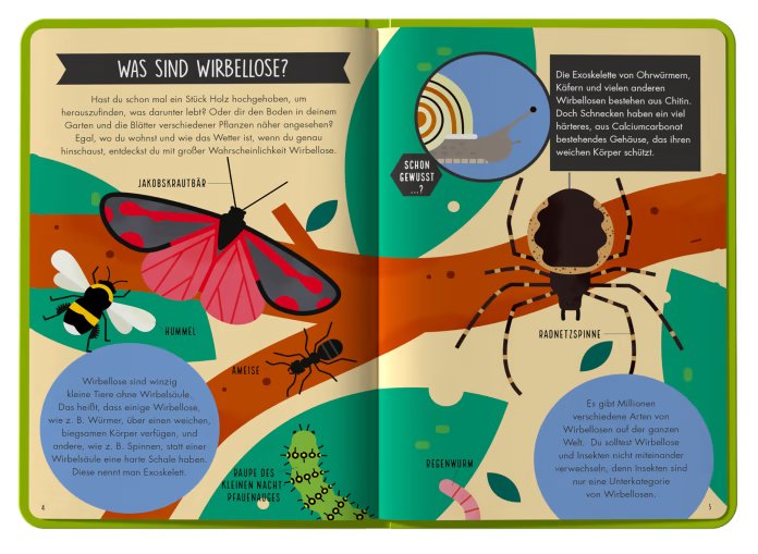 Terra Kids - Buch Entdecke die Insekten (d) - Familienbande